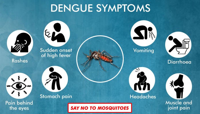 Dengue Vaccination